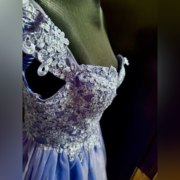 Rianna Couture Damas Dress - Picture 5 of 13